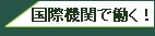 法令外国語訳データベース