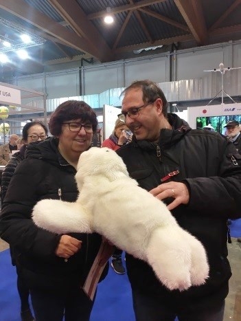 190207_holidayfair1