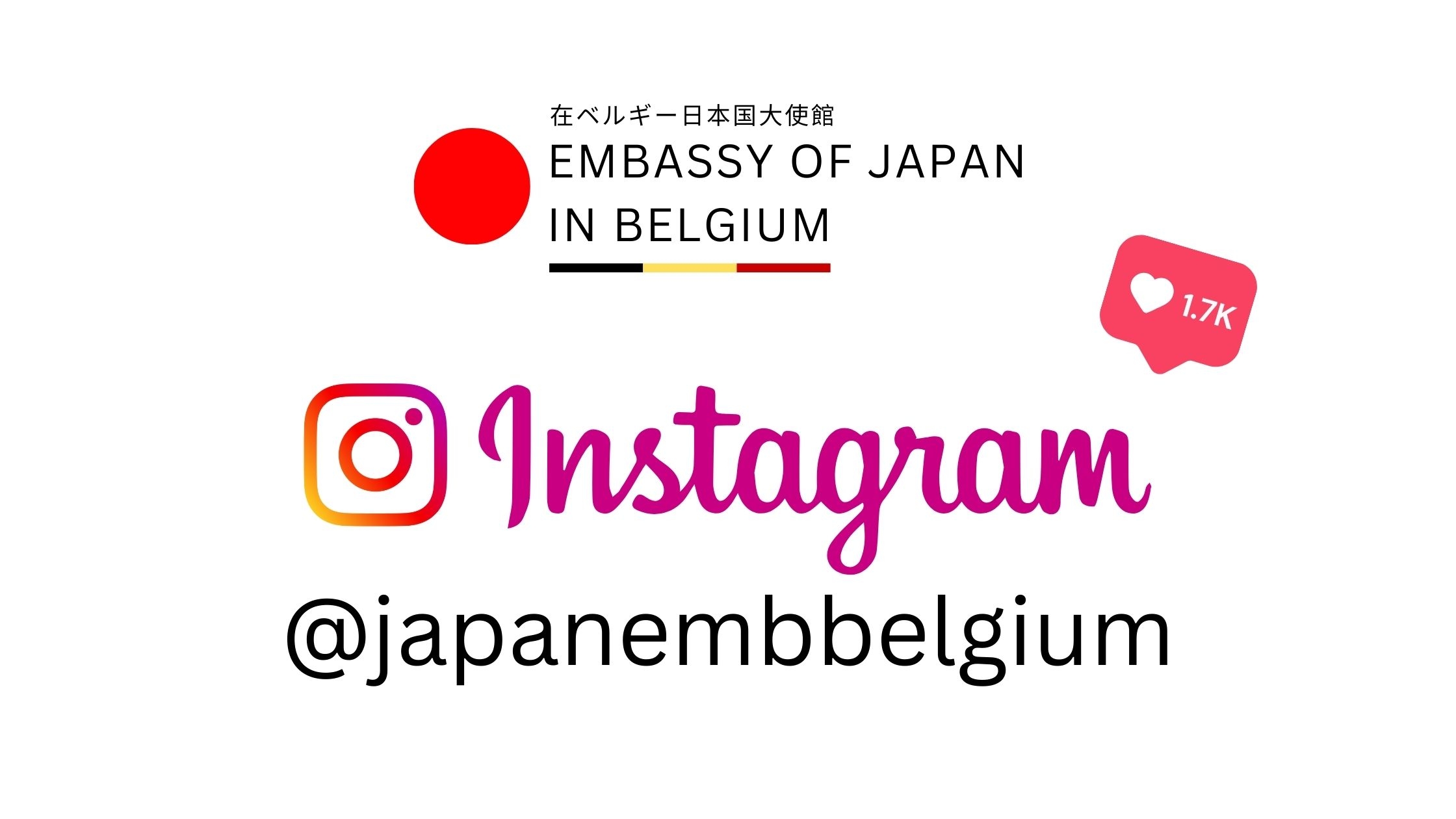 Instagram Timeline