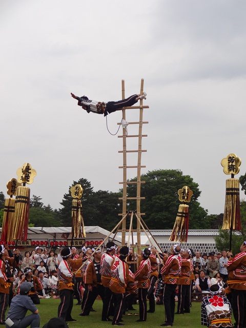 matsuri2